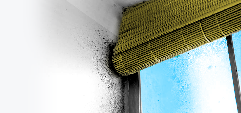 A shocking four in ten people (43%) in Britain live in homes which fail to meet the ‘Living Home Standard’ – a measure of what makes an acceptable home. Designed to be the housing equivalent of the Living Wage, the new Living Home Standard was developed by the public, for the public through a series of discussion groups, workshops and surveys. For the first time it revealed a measure of what everyone should have from a home in order to live, rather than just get by. In a landmark report, Shelter and Ipsos MORI, with support from British Gas, asked the nation to define what makes an acceptable home. Fifty years since the housing charity was first founded, the Living Home Standard paints a unique picture of what people need from their homes in Britain today. It is measured through five criteria based on what mattered most to the public: affordability, decent conditions, stability, space and neighbourhood. This research now shockingly reveals that most homes fall below the standard due to the impact of high housing costs, with over one in four people (27%) in Britain living in homes which fail on affordability. Almost one in five (18%) live in homes which fail to meet the standard because of poor conditions, with problems including persistent pests, damp or safety hazards. And the homes of almost one in ten people (10%) fail due to instability, largely driven by renters who feel they don’t have enough control over how long they can live in their home. Shelter’s chief executive Campbell Robb said: “At Shelter we know all too well that a home is much more than bricks and mortar – it’s a place that should allow us to live and thrive, rather than just get by. “When Shelter was founded fifty years ago, it was with the hope that one day everyone in the country would have access to a place they can truly call home. But the sad truth is that far too many people in Britain right now are living in homes that just aren’t up to scratch – from the thousands of families forced to cope with poor conditions, to a generation