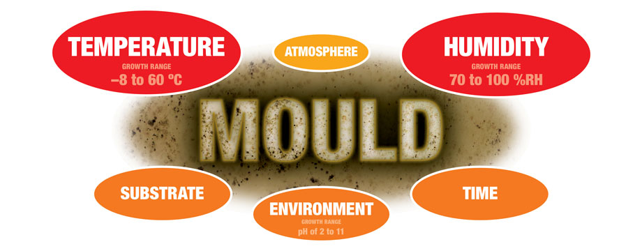 mould problems
